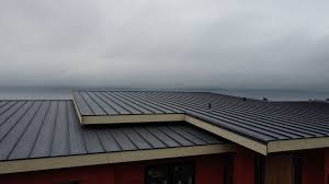 Best Emergency Roof Repair Services  in Coldstream, KY